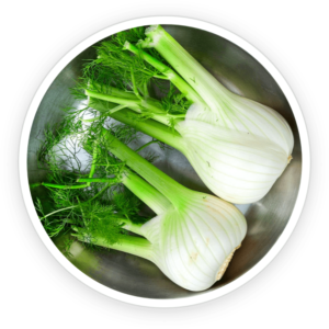 ingredient4.png